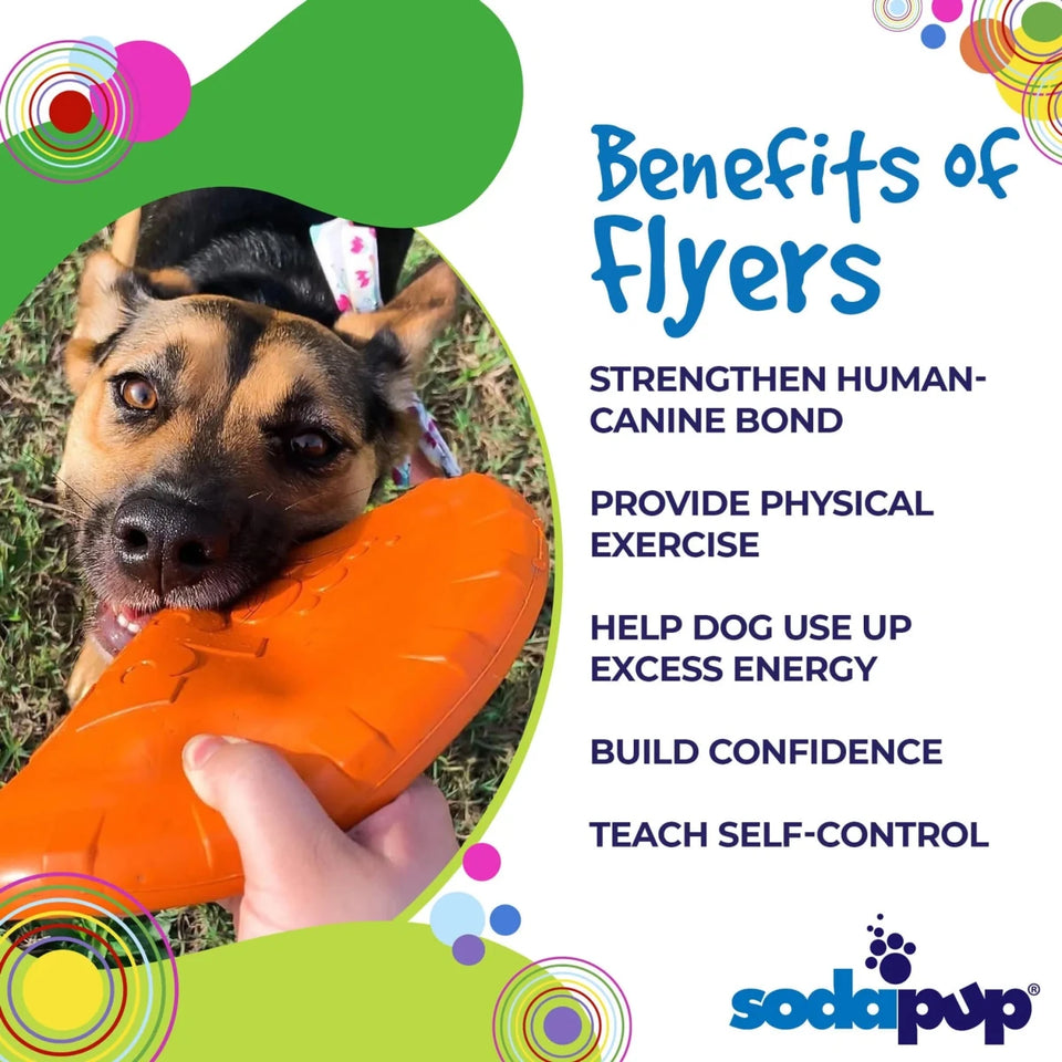 SP Bottle Top Flyer Durable Rubber Retrieving Frisbee, view 7