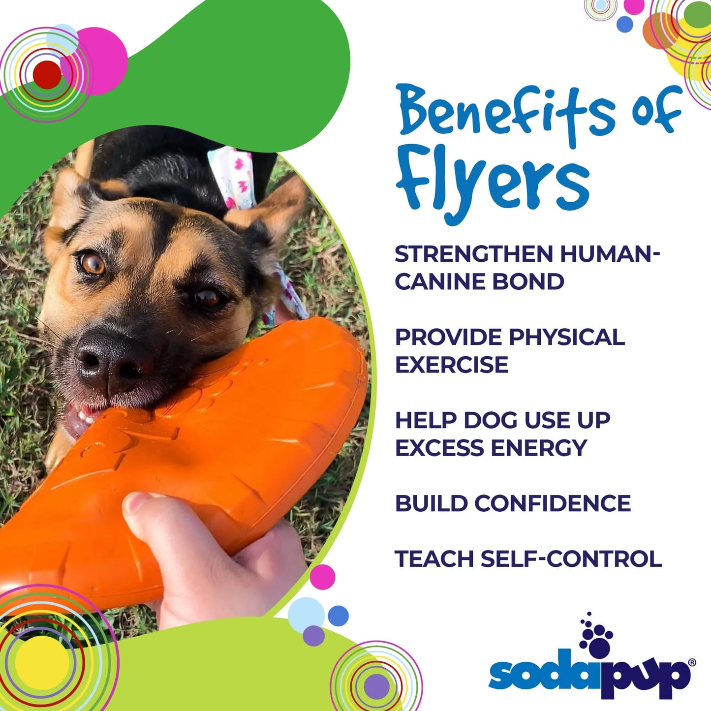 SP Bottle Top Flyer Durable Rubber Retrieving Frisbee - Pets Perfect
