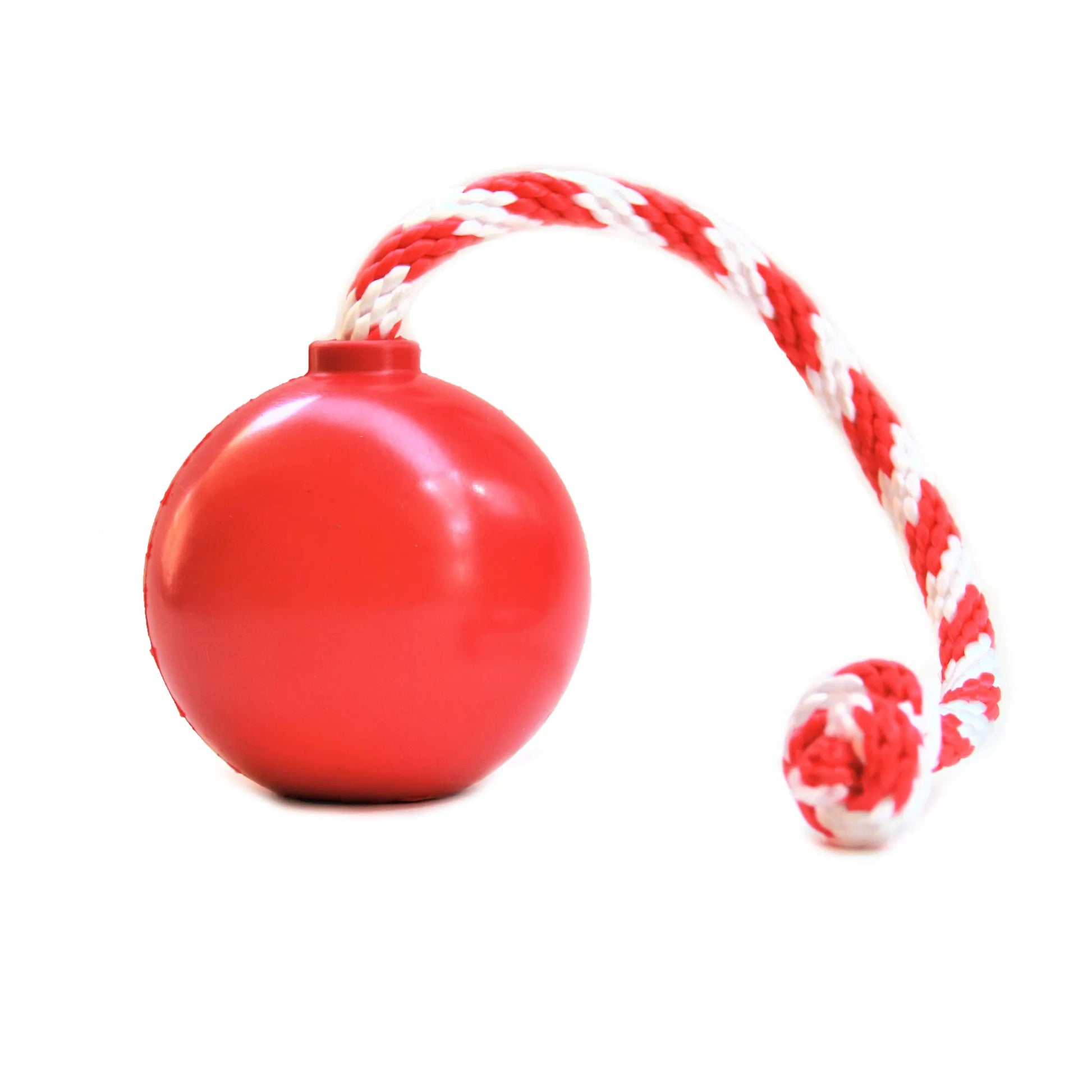 Red cherry bomb dog toy showing durable rubber construction and rope handle
