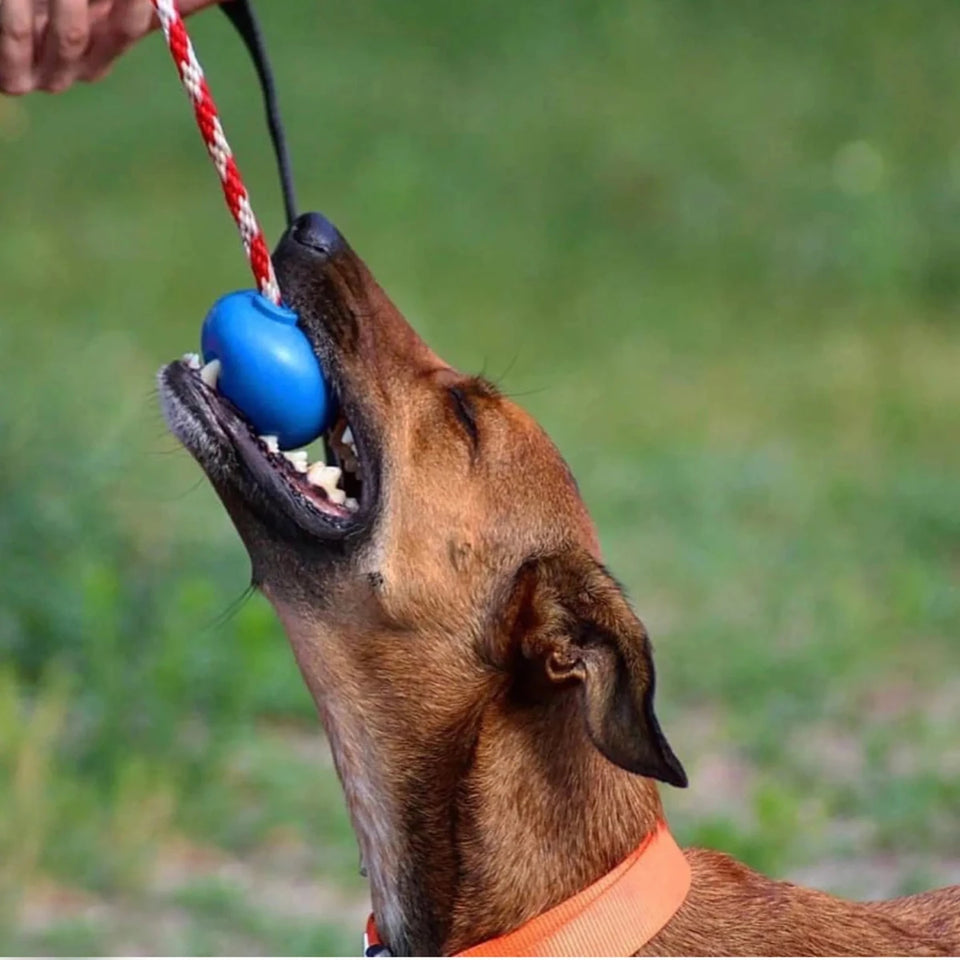 USA-K9 Cherry Bomb Durable Rubber Chew Dog Toy, Treat Dispenser, view 7
