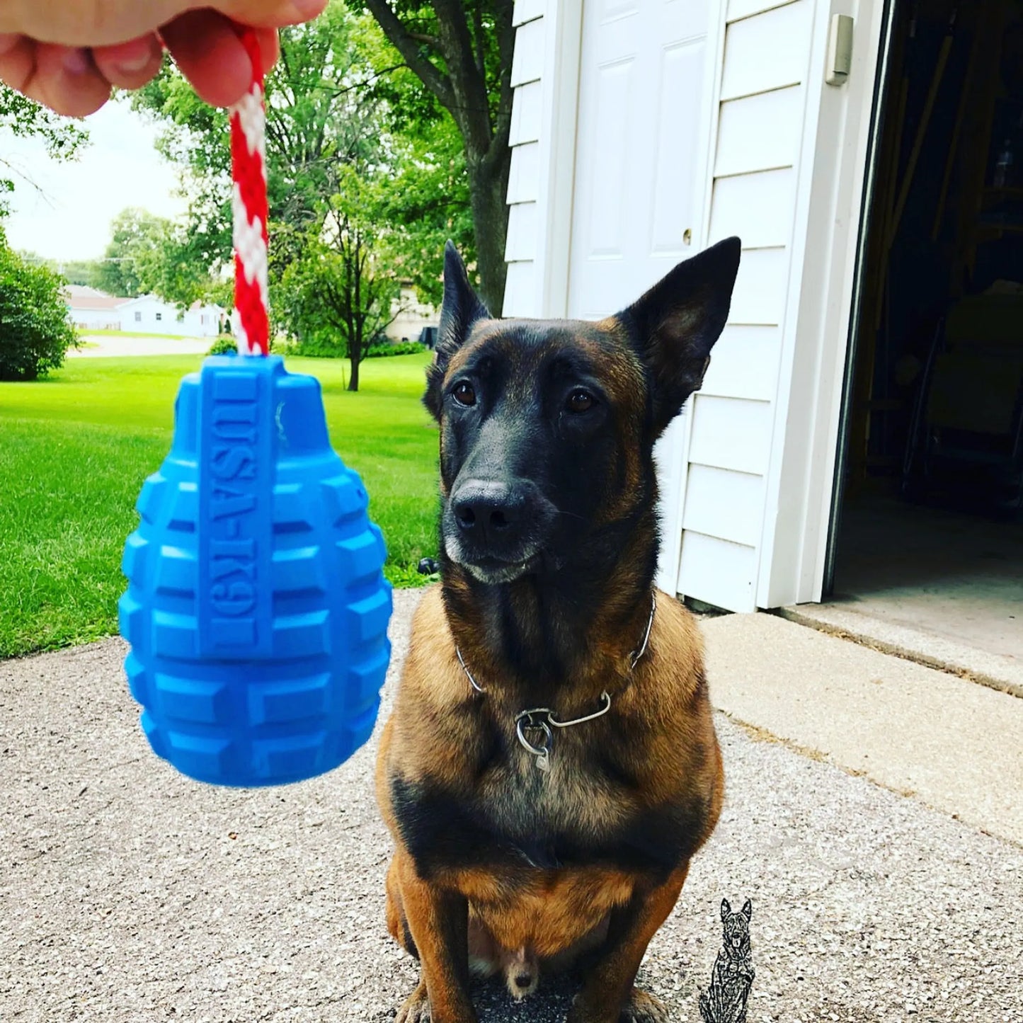 USA - K9 Grenade Durable Rubber Chew Toy, Treat Dispenser, Reward Toy, Tug Toy, and Retrieving Toy - Pets Perfect