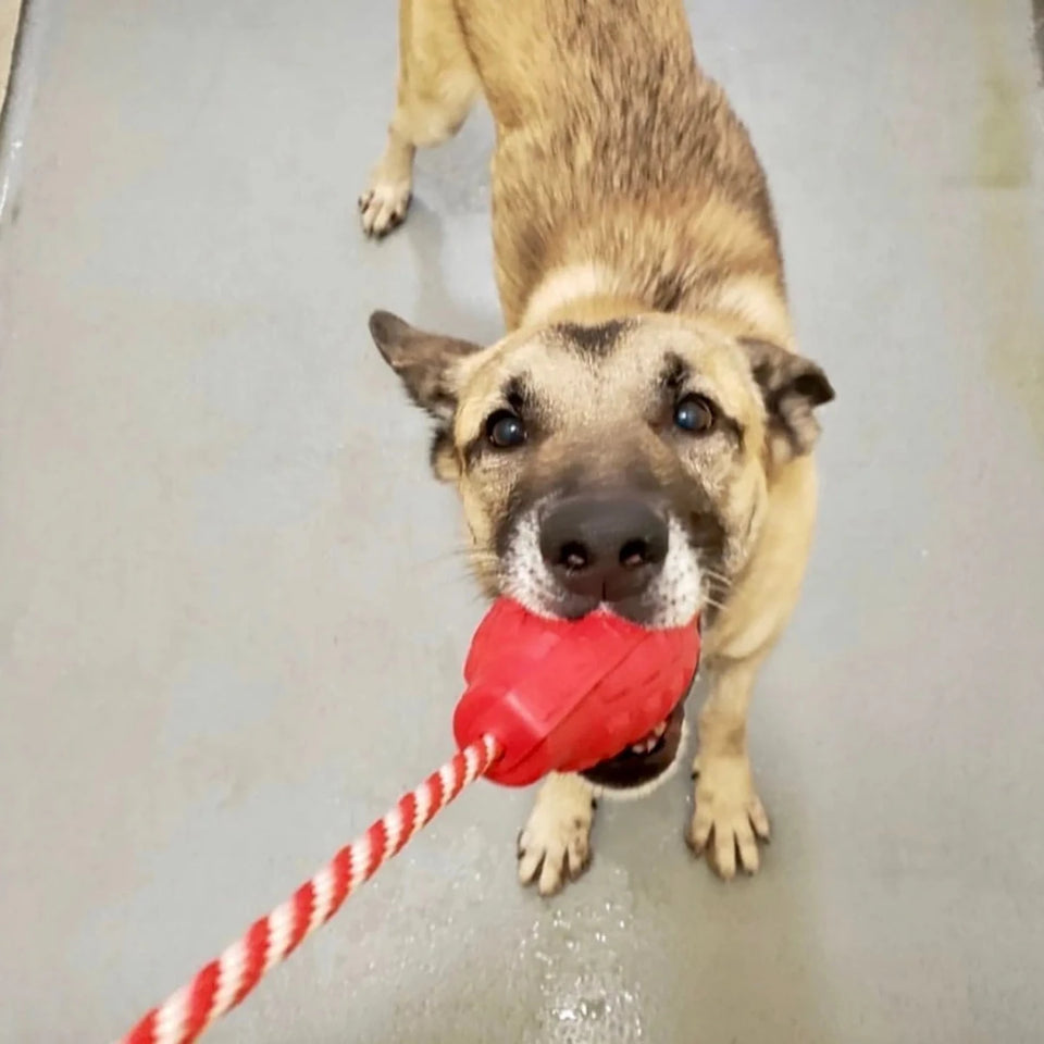 USA-K9 Grenade Durable Rubber Chew Dog Toy, Treat Dispenser, Tug Toy, view 12