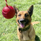 USA-K9 Stars and Stripes Ultra-Durable Rubber Chew Ball