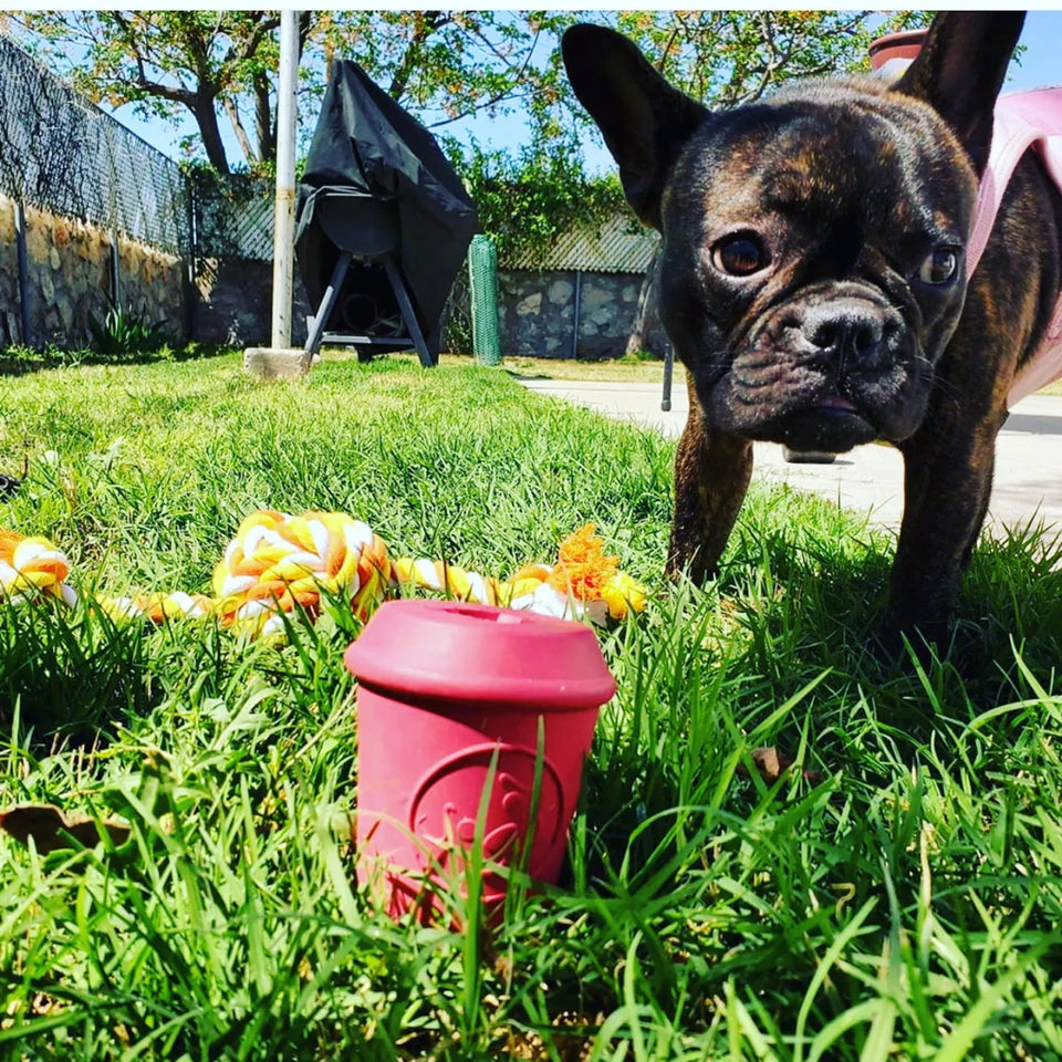 Coffee Cup Durable Rubber Chew Dog Toy and Treat Dispenser, view 8