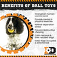 ID Ball Dog Toy – Ultra-Durable Rubber Chew Ball for Tough Chewers