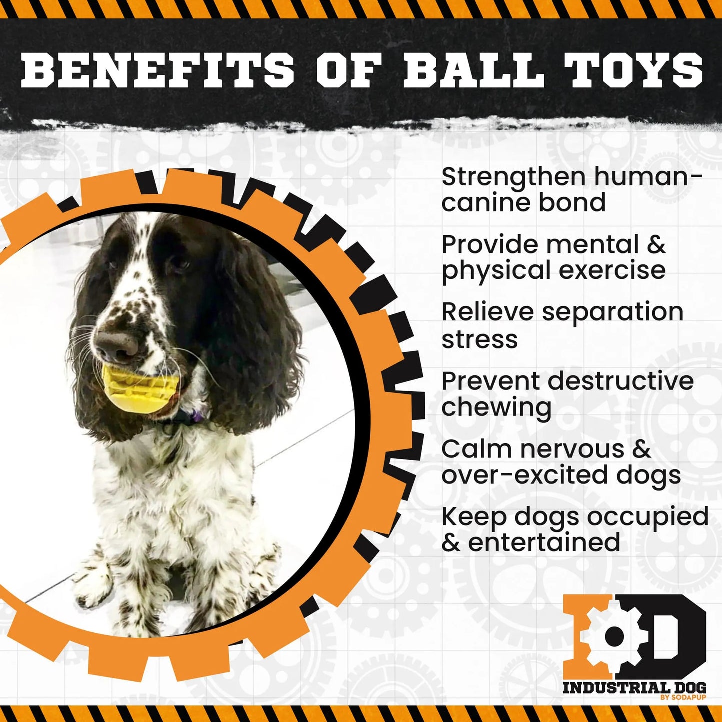 ID Ball Dog Toy – Ultra-Durable Rubber Chew Ball for Tough Chewers