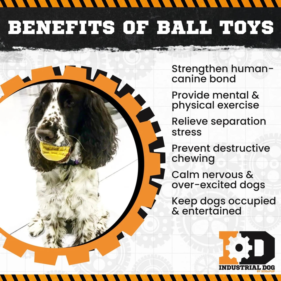 ID Ball - Ultra-Durable Rubber Dog Chew Ball - Pets Perfect