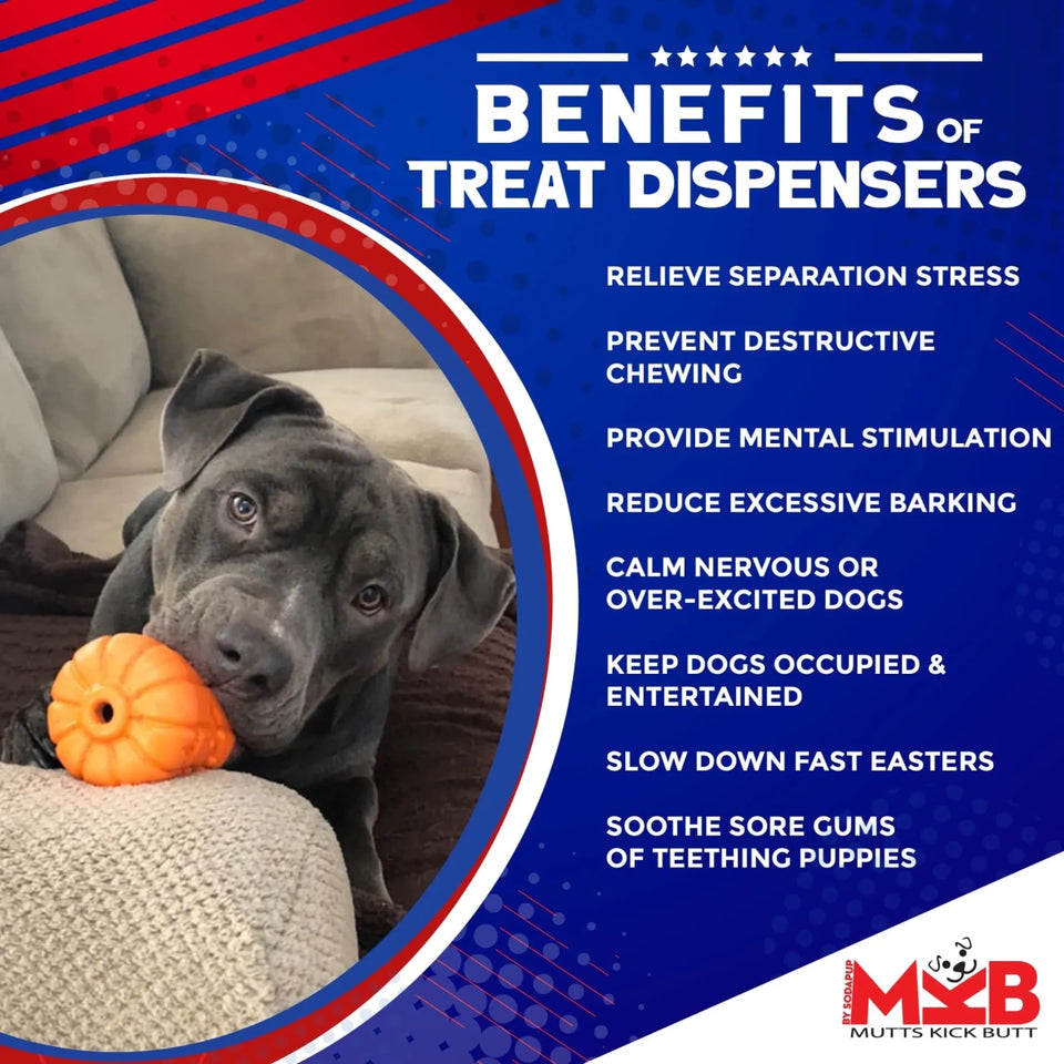 MKB Jack O' Lantern Durable Rubber Chew Dog Toy & Treat Dispenser - Pets Perfect