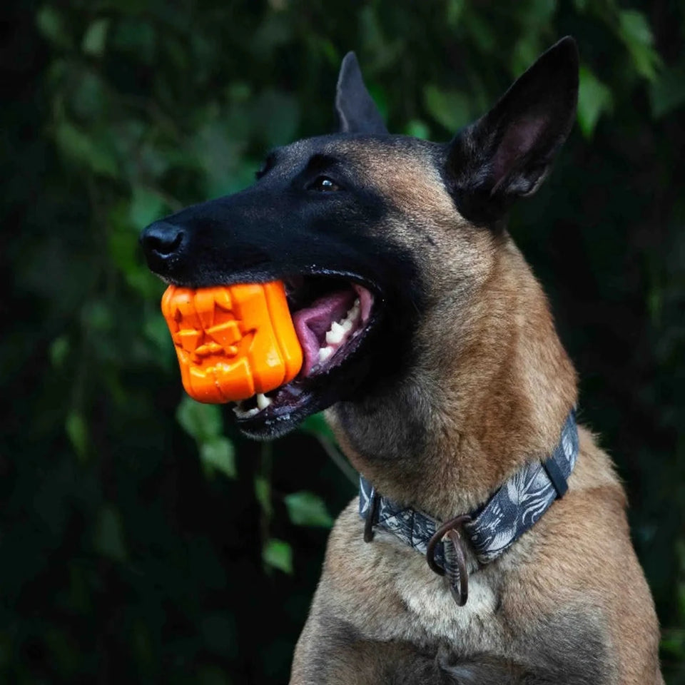 MKB Jack O' Lantern Durable Rubber Chew Dog Toy & Treat Dispenser - Pets Perfect