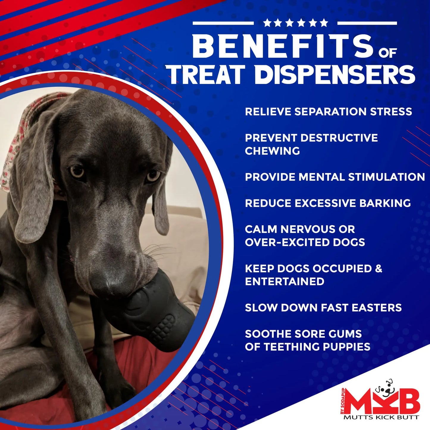 Sugar Skull Dog Toy – Rubber Treat Dispenser Chew – Medium