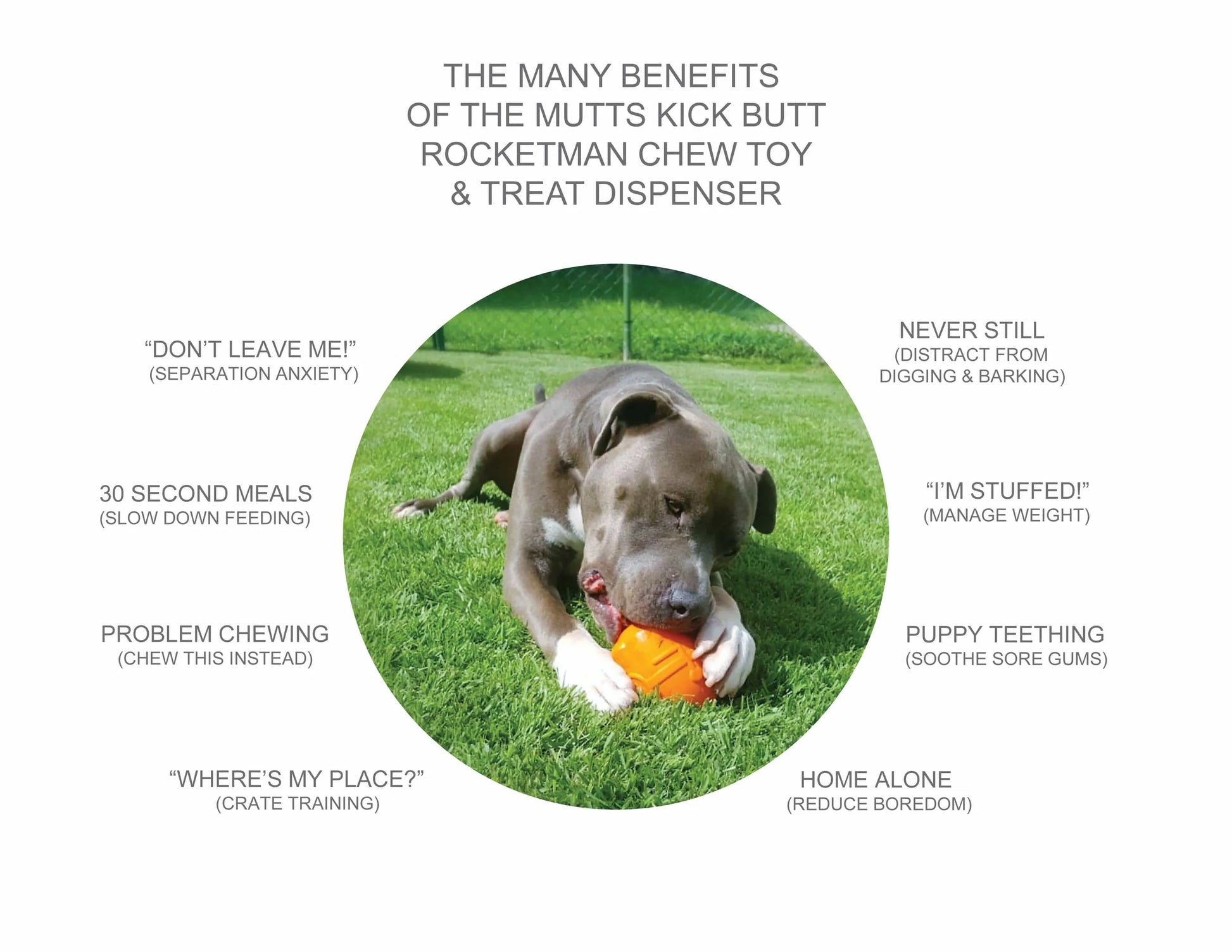 SN Rocketman Durable Rubber Treat Dispenser & Chew Toy - Pets Perfect