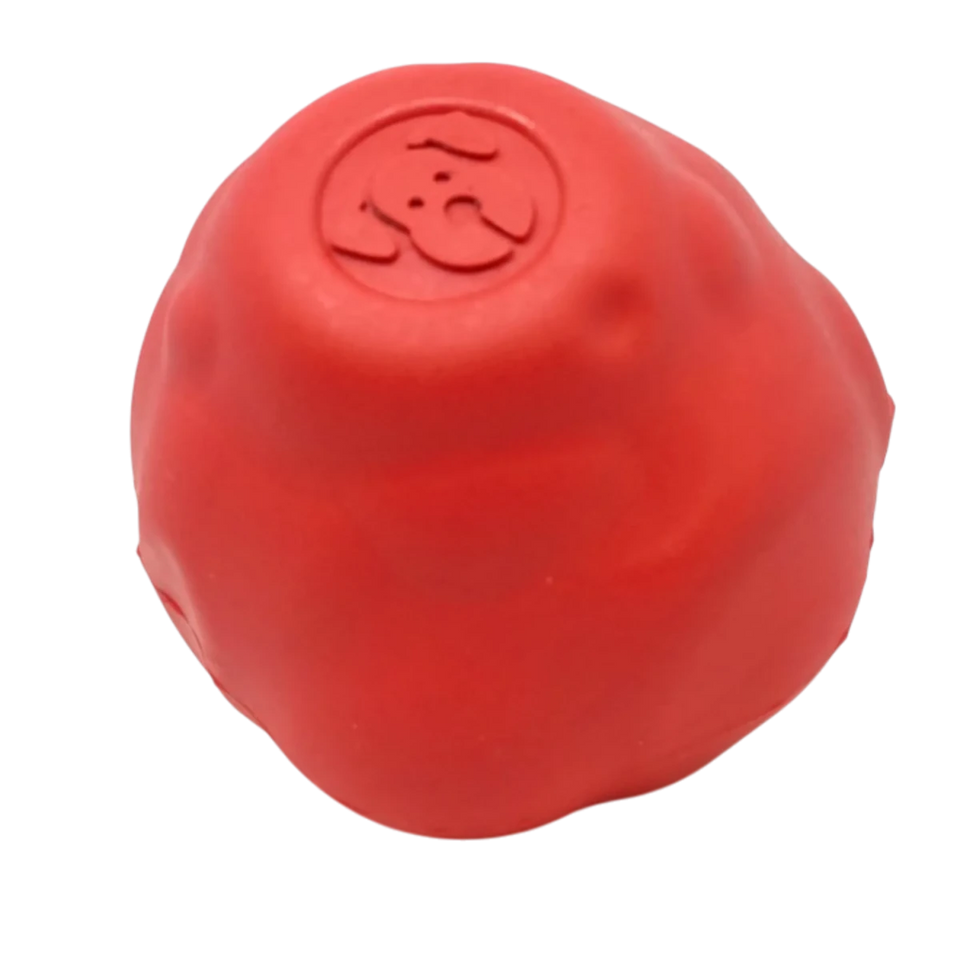 SN Asteroid Ultra Durable Rubber Chew Dog Toy - Pets Perfect