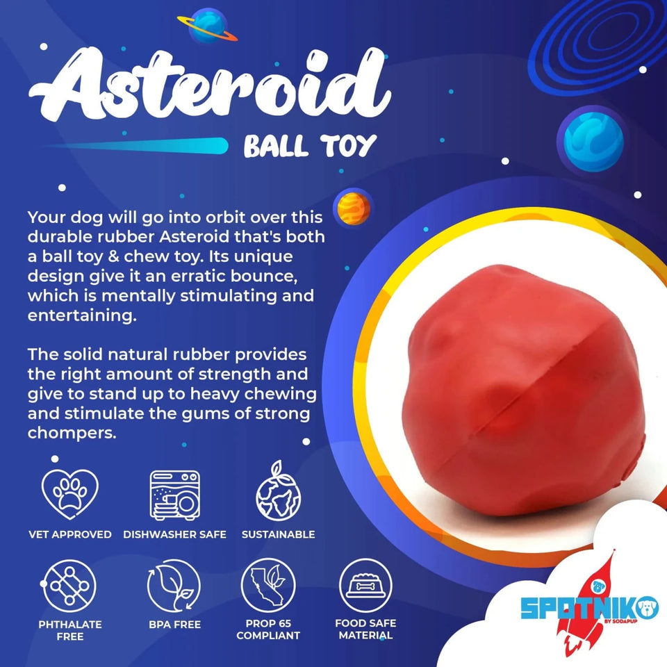 SN Asteroid Ultra Durable Rubber Chew Dog Toy - Pets Perfect