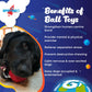 SN Asteroid Ultra Durable Rubber Chew Toy