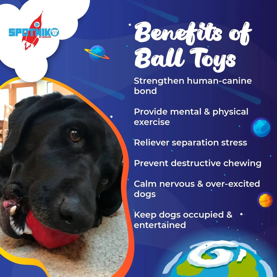 SN Asteroid Ultra Durable Rubber Chew Dog Toy - Pets Perfect