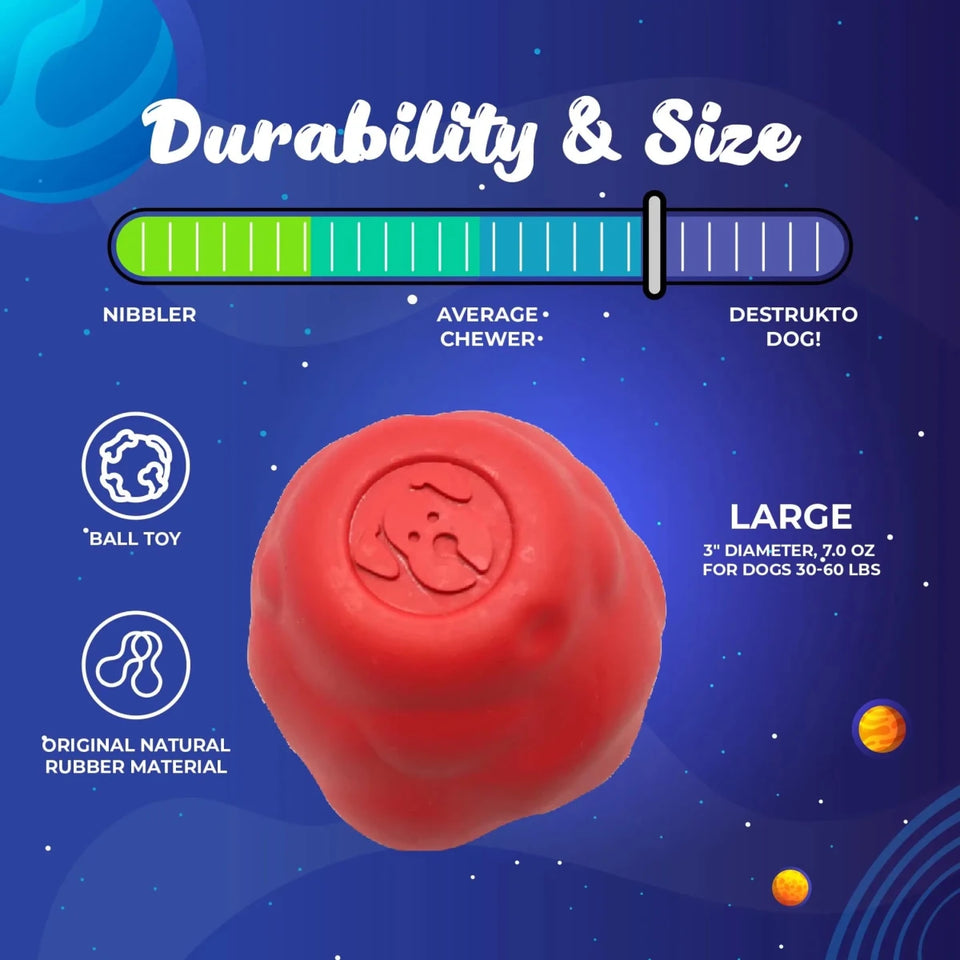 SN Asteroid Ultra Durable Rubber Chew Dog Toy - Pets Perfect
