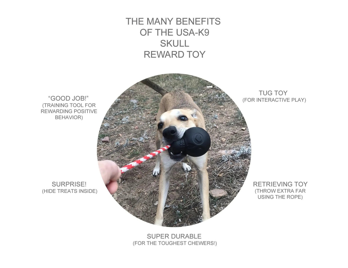 USA - K9 Skull Durable Rubber Chew Toy, Treat Dispenser, Reward Toy, Tug Toy, and Retrieving Toy - Pets Perfect