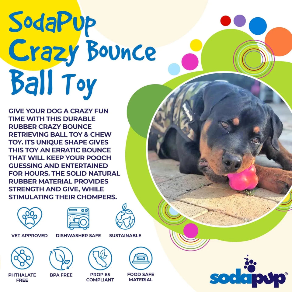 SP Crazy Bounce Ultra Durable Rubber Chew & Retrieving Dog Toy, view 5
