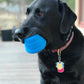 SN Space Capsule Durable Rubber Chew Toy & Treat Dispenser