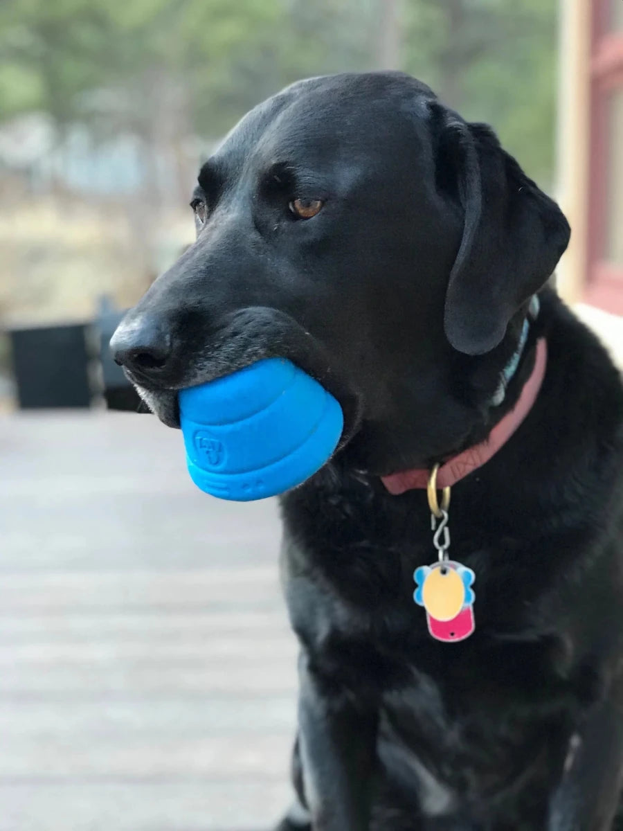 SN Space Capsule Durable Rubber Chew Dog Toy & Treat Dispenser - Pets Perfect