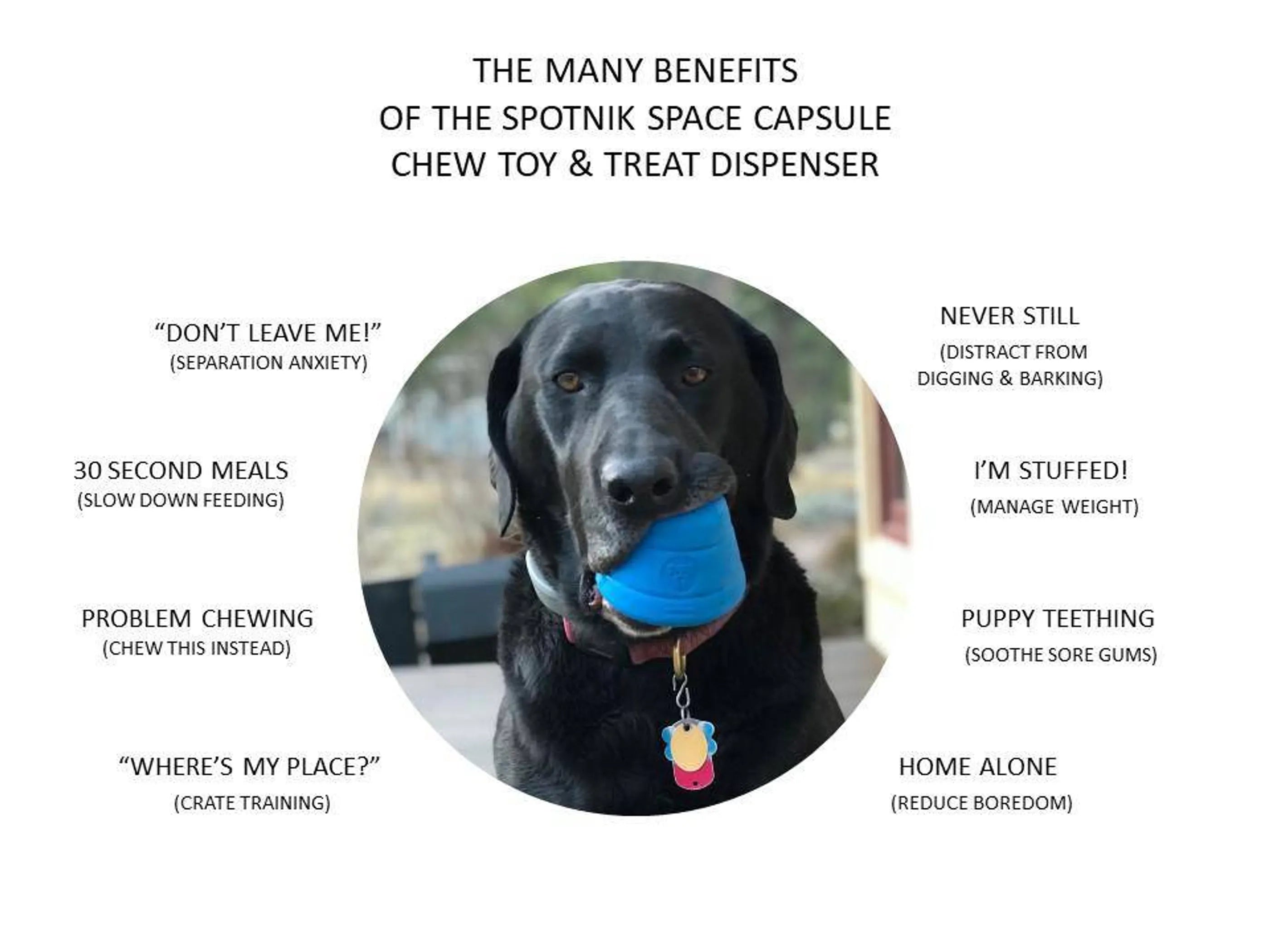 SN Space Capsule Durable Rubber Chew Toy & Treat Dispenser