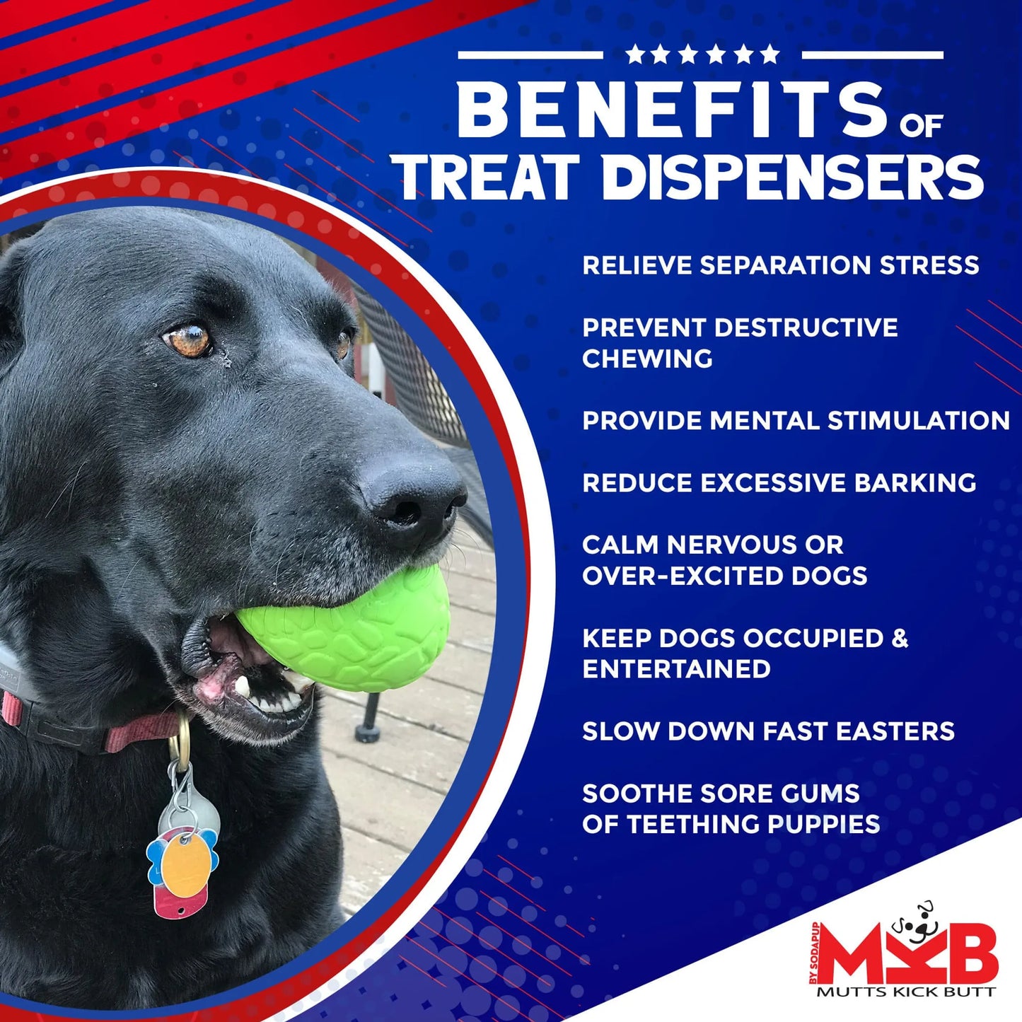 MKB Dinosaur Egg Durable Rubber Chew Toy & Treat Dispenser - Pets Perfect