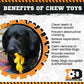 ID Circular Saw Blade Ultra Durable Nylon Dog Chew Toy for Aggressive Chewers - Pets Perfect