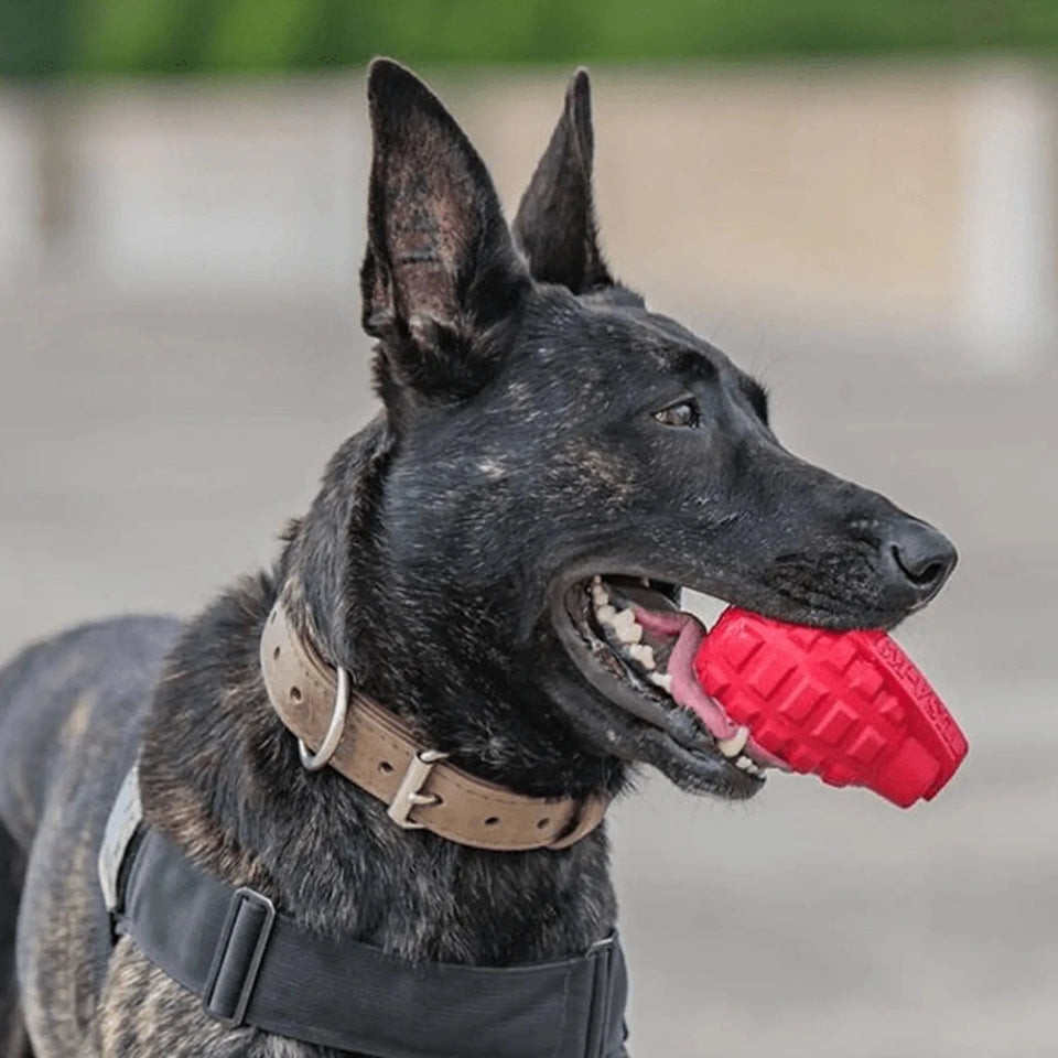 USA-K9 Puppy Grenade Durable Rubber Chew Dog Toy & Treat Dispenser for, view 7