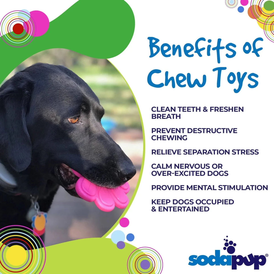 SP Paw Print Ultra Durable Nylon Dog Chew Toy for Aggressive Chewers - Pets Perfect