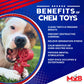 MKB Key to My Heart Ultra Durable Nylon Dog Chew Toy for Aggressive Chewers - Pets Perfect