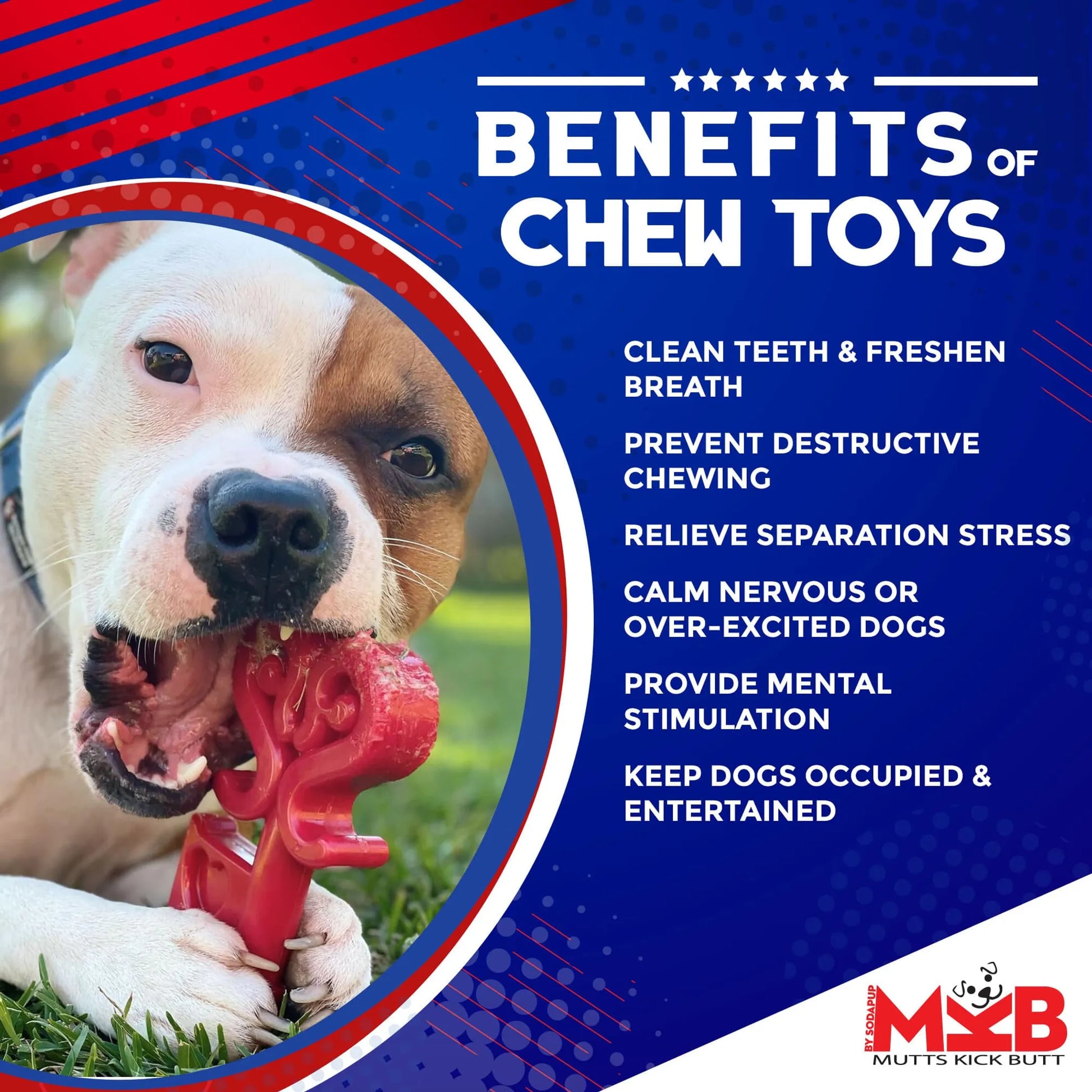 MKB Key to My Heart Ultra Durable Nylon Dog Chew Toy for Aggressive Chewers - Pets Perfect