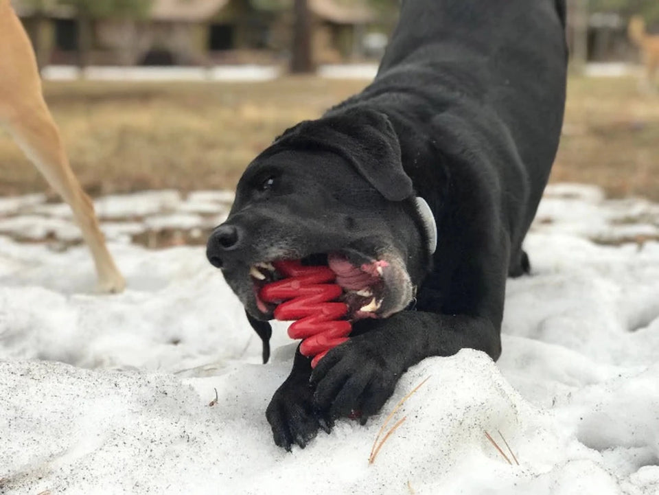 MKB Christmas Tree Ultra Durable Nylon Dog Chew Toy for Aggressive Chewers - Pets Perfect