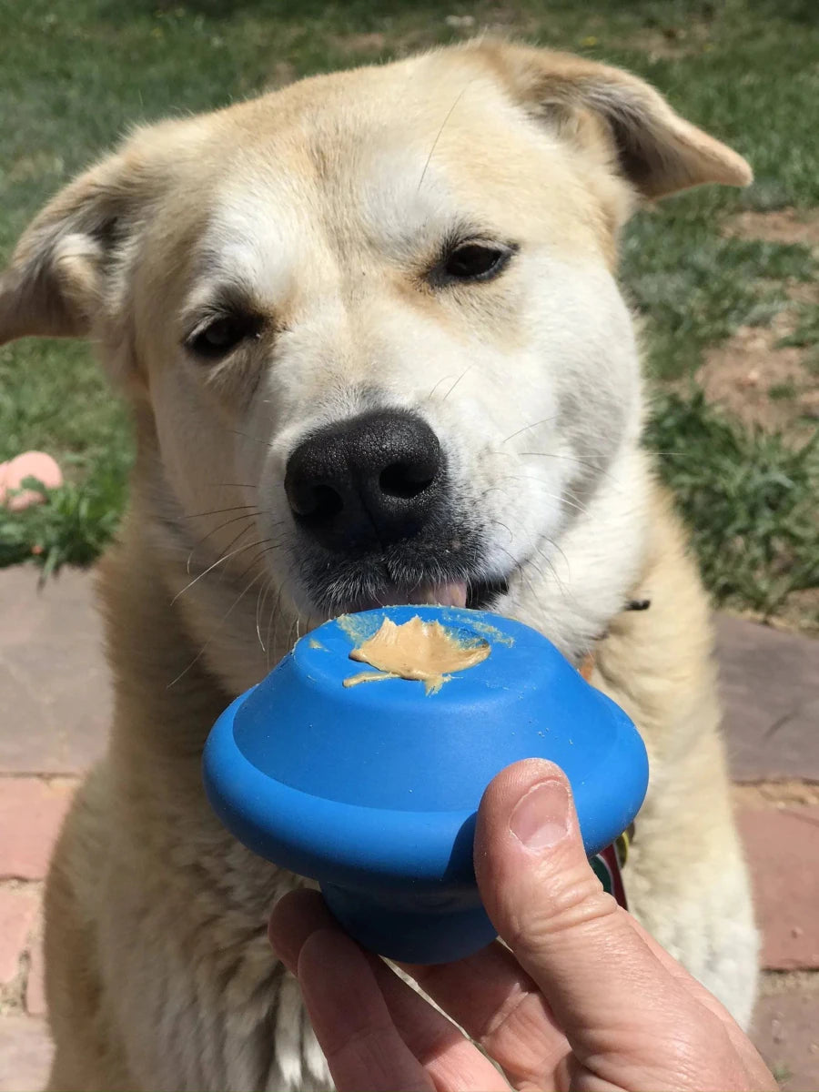 SN Flying Saucer Durable Rubber Chew Dog Toy & Treat Dispenser, view 5