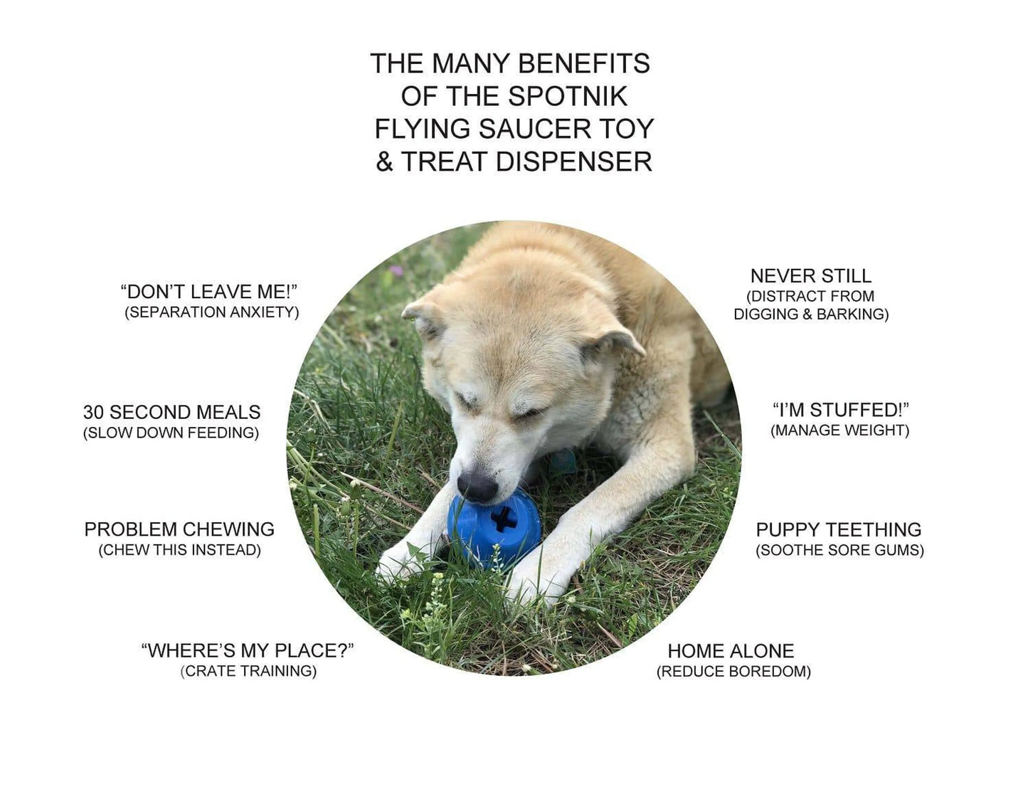 Flying Saucer Dog Toy – Rubber Treat Dispenser – Medium