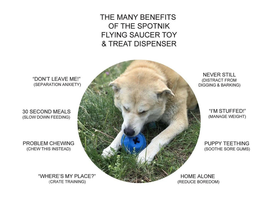 SN Flying Saucer Durable Rubber Chew Dog Toy & Treat Dispenser, view 7