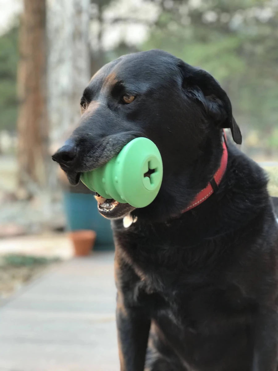 MKB Christmas Tree Durable Rubber Chew Dog Toy & Treat Dispenser - Pets Perfect