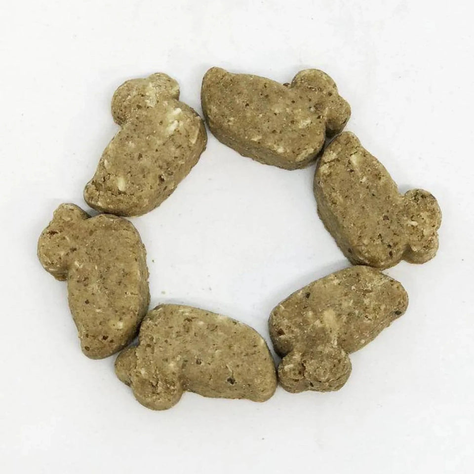 DT Dogtastic Salmon & Coconut Ducks Dog Treats - Pets Perfect