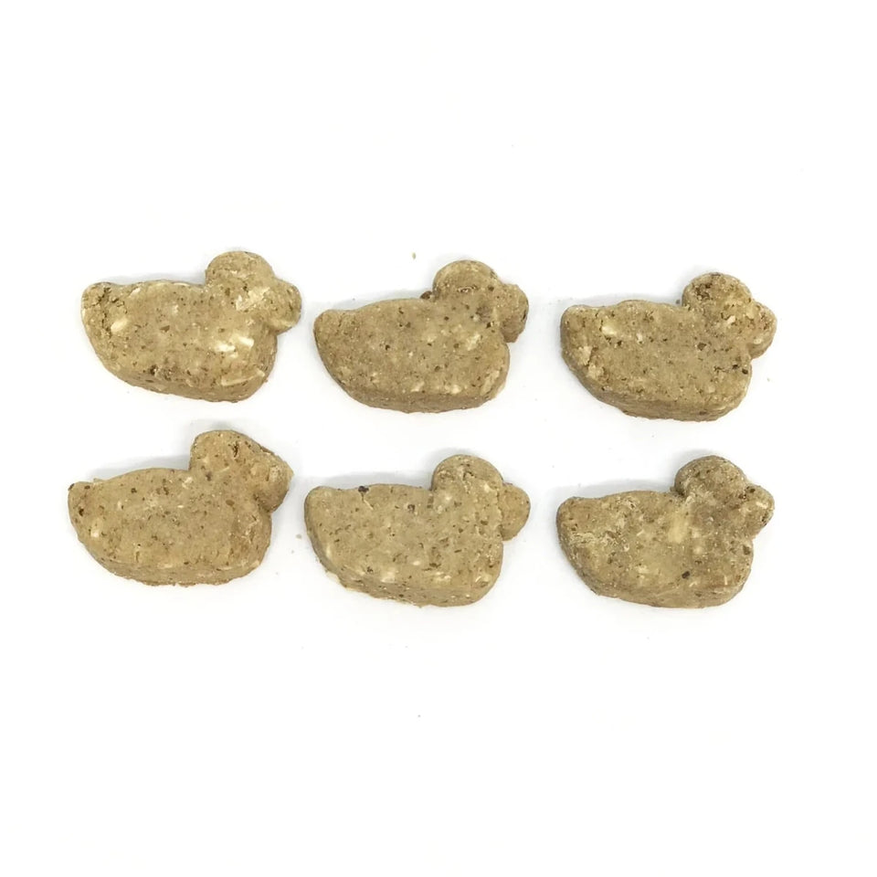 DT Dogtastic Salmon & Coconut Ducks Dog Treats - Pets Perfect