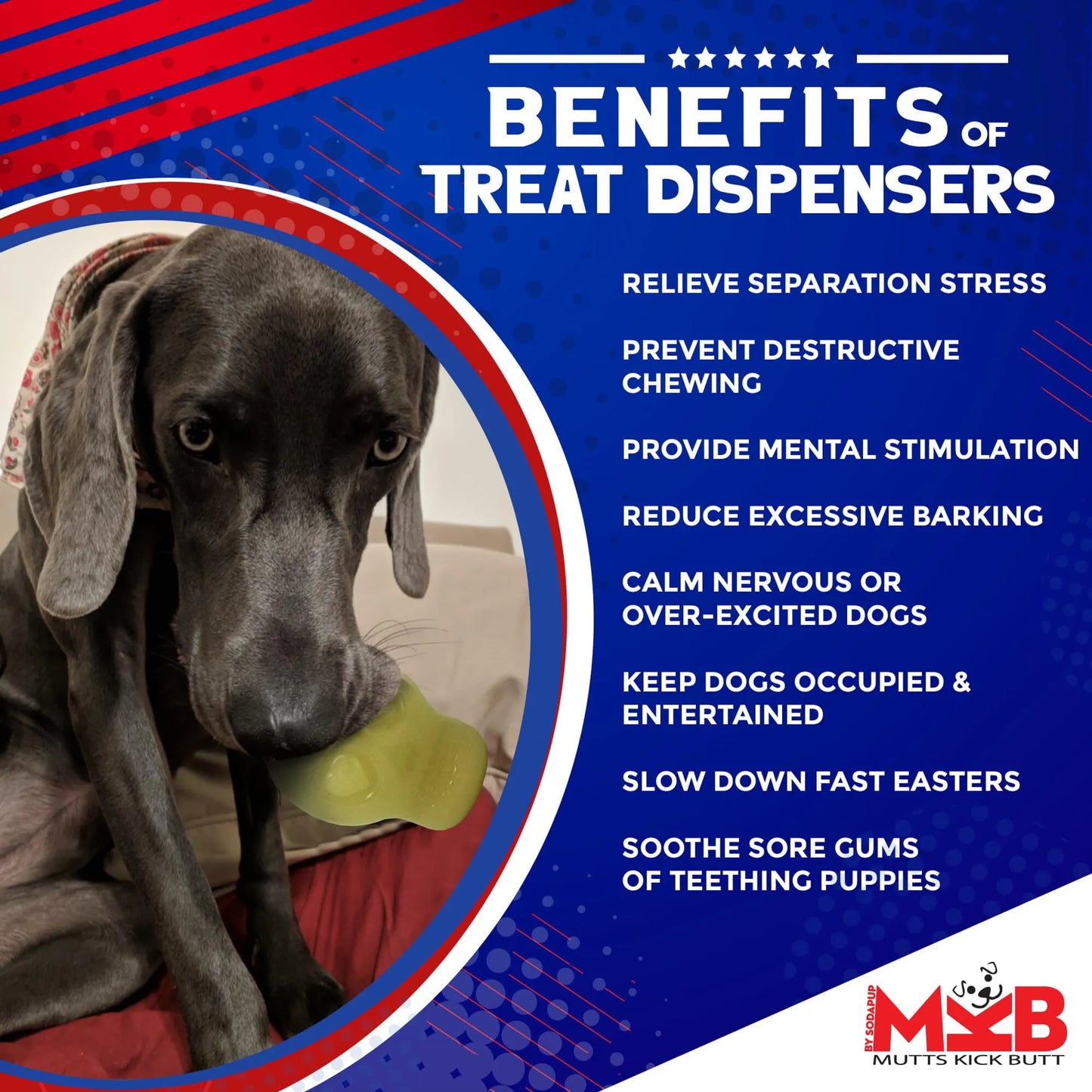 MKB Glow in the Dark Sugar Skull Chew Toy & Treat Dispenser - Pets Perfect