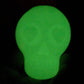 MKB Glow in the Dark Sugar Skull Chew Toy & Treat Dispenser - Pets Perfect