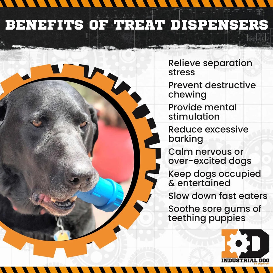 ID Bone Durable Rubber Chew Dog Toy and Treat Dispenser - Pets Perfect
