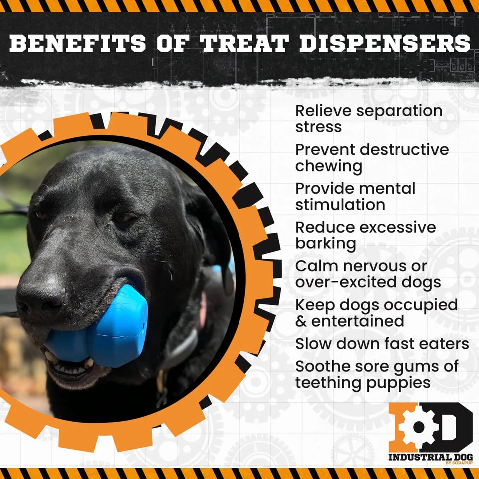 ID Double Trouble Durable Rubber Chew Dog Toy and Treat Dispenser - Pets Perfect