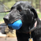 ID Double Trouble Durable Rubber Chew Toy and Treat Dispenser