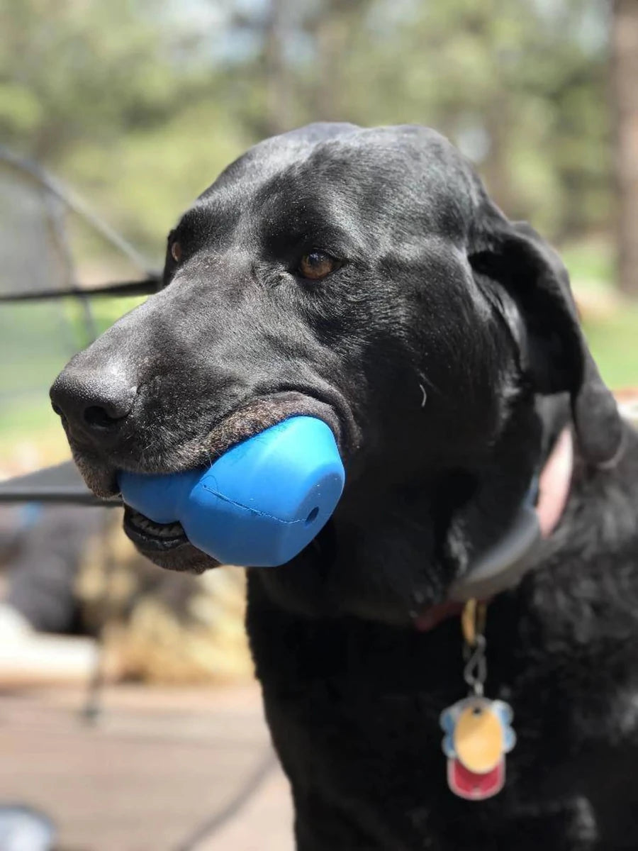 ID Double Trouble Durable Rubber Chew Dog Toy and Treat Dispenser - Pets Perfect
