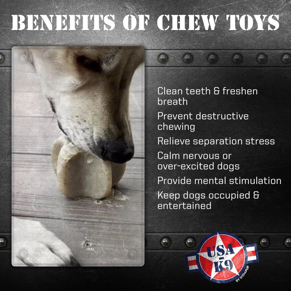 Durable Nylon Star Dog Chew Toy and Enrichment Toy for Aggressive Chewers - Pets Perfect