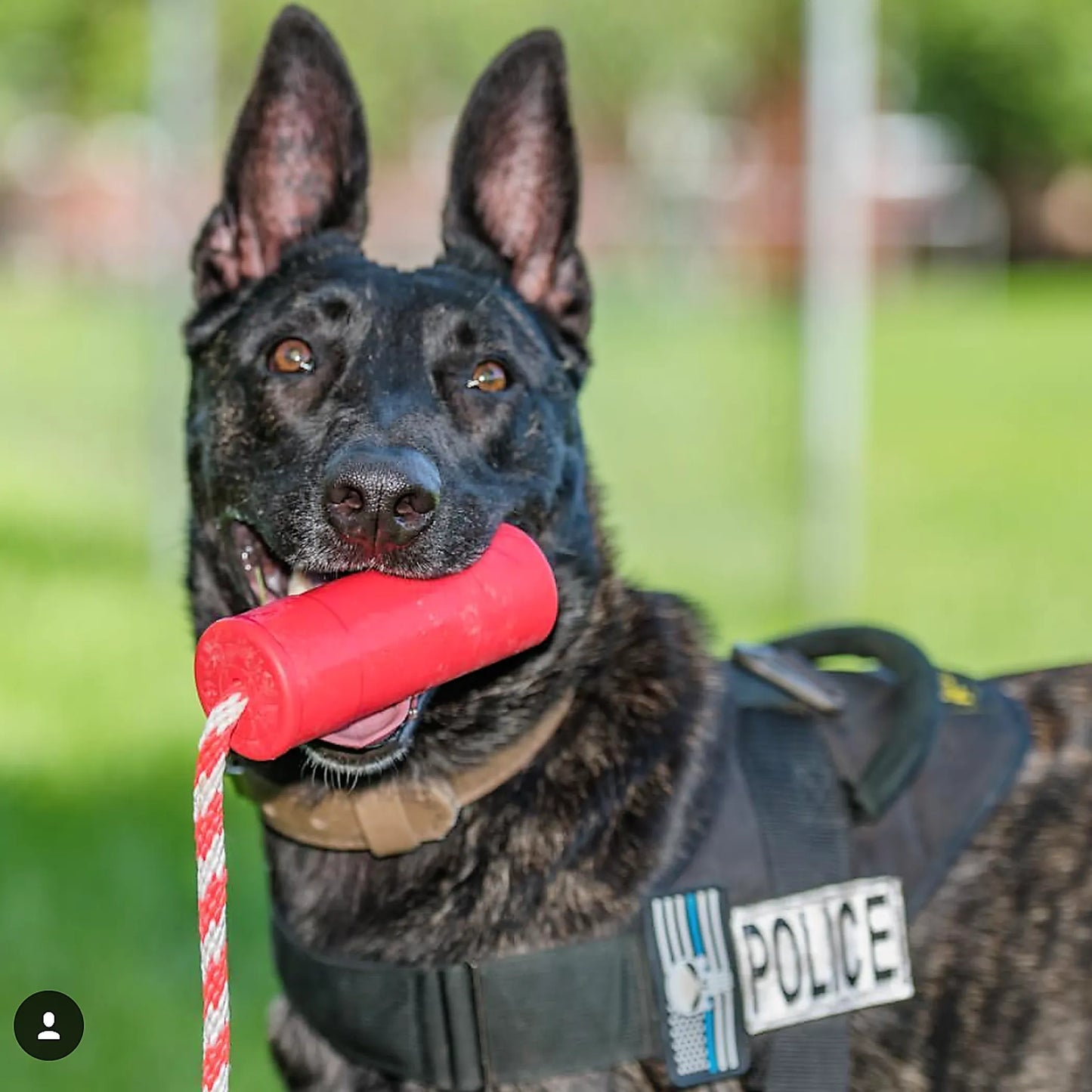 USA - K9 Firecracker Durable Rubber Floating Training Dummy - Pets Perfect