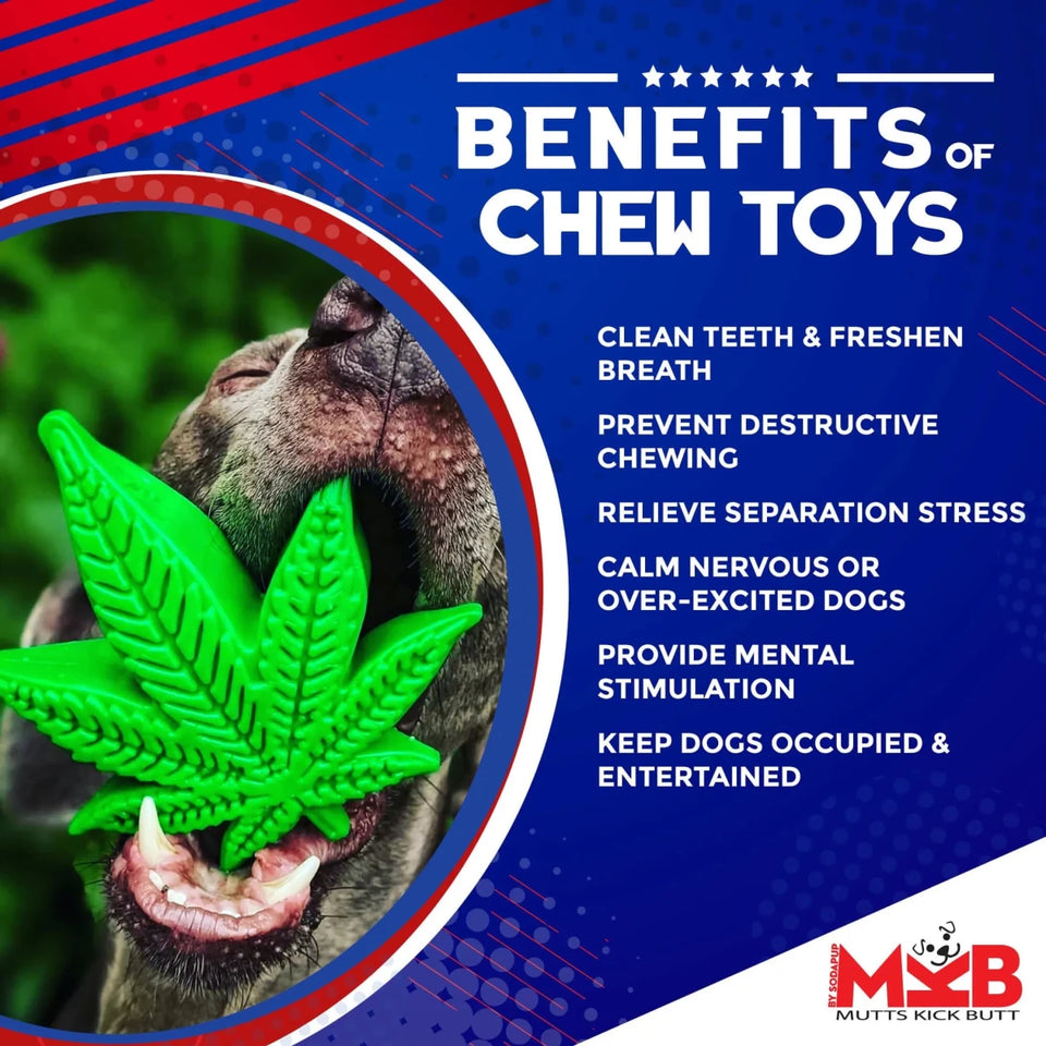 MKB Colorado Maple Leaf Durable Nylon Dog Chew Toy for Aggressive Chewers - Pets Perfect