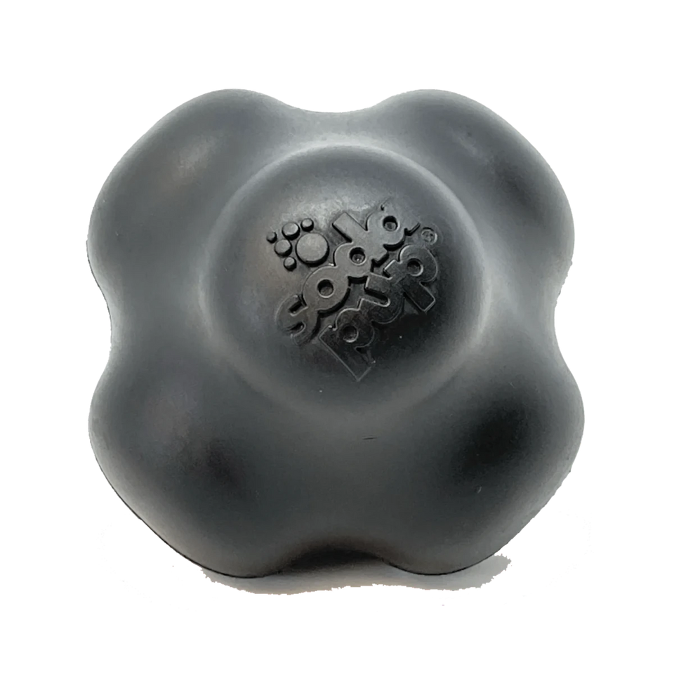 Magnum Crazy Bounce Ultra Durable Rubber Chew & Retrieving Dog Toy - Pets Perfect