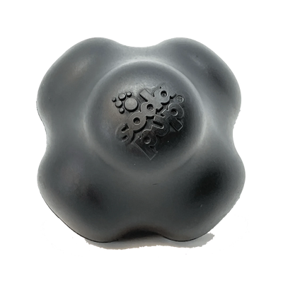 Magnum Crazy Bounce Ultra Durable Rubber Chew & Retrieving Dog Toy - Pets Perfect