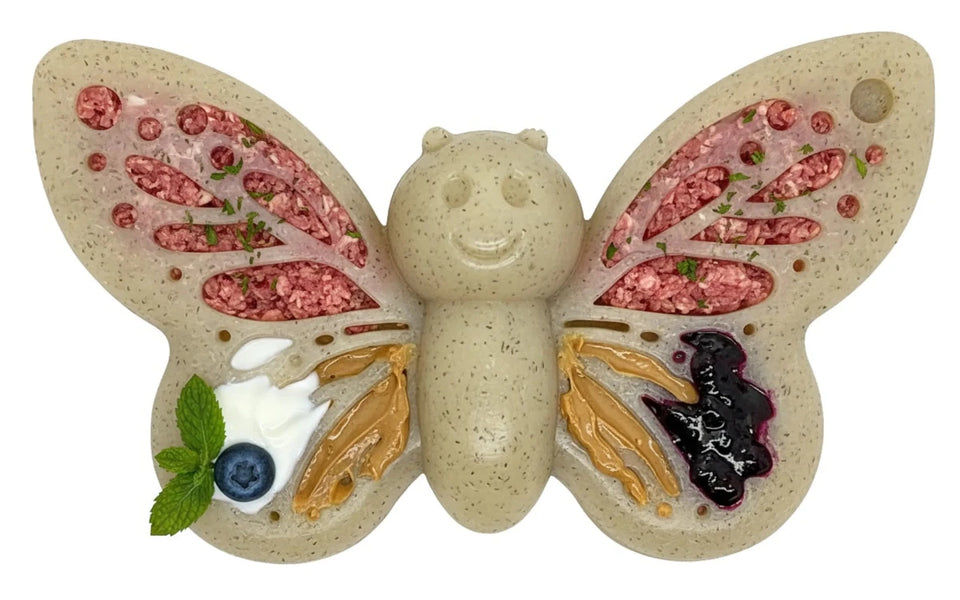 SP Butterfly Chew and Enrichment Dog Toy - Pets Perfect